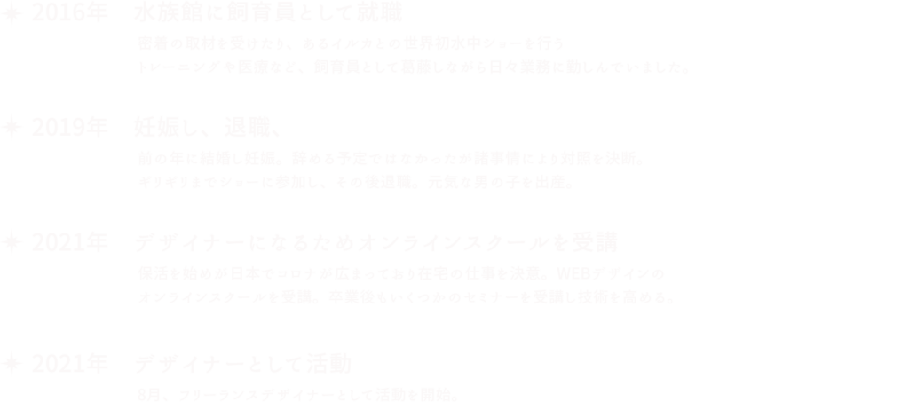 デザイナーの経歴 pc